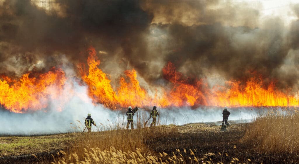 Firefighters Walking in Field On Fire
